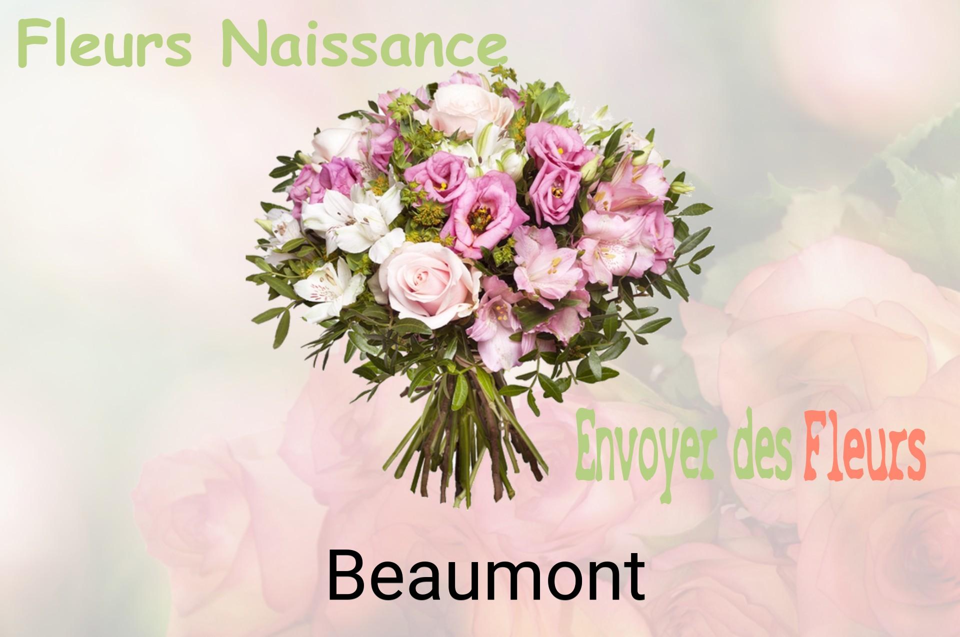 Bouquet de fleurs de naissance livré à Beaumont